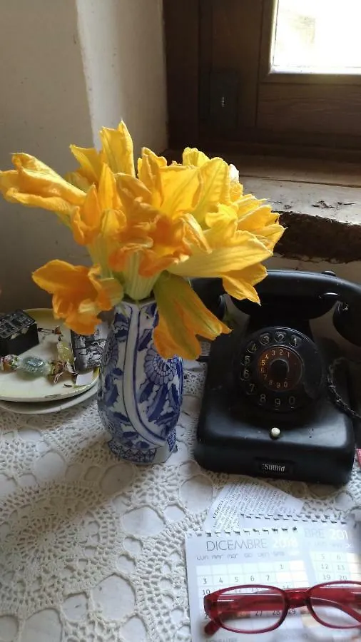B&B Mulini Venturi Saludecio Bed & Breakfast